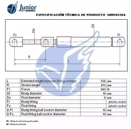 junior gh0545364