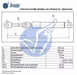junior gh0554384