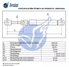 junior gh0554484