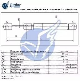 junior gh0562254