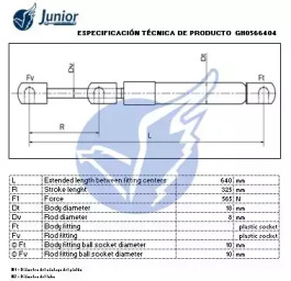 junior gh0566404