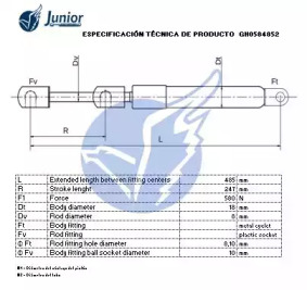 junior gh0584852