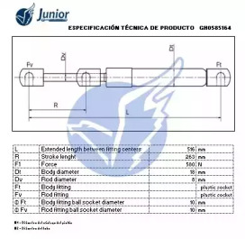 junior gh0585164