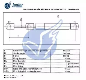 junior gh0586821