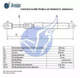 junior gh0602452
