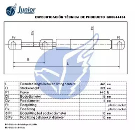 junior gh0644454