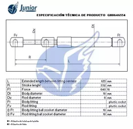 junior gh0646554