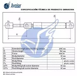 junior gh0682984