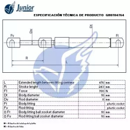 junior gh0704764