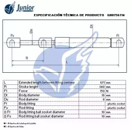 junior gh0756714