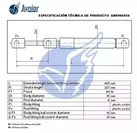 junior gh0904454