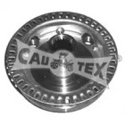 CAUTEX 461020