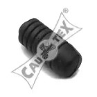 CAUTEX 010209