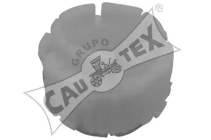 CAUTEX 030311