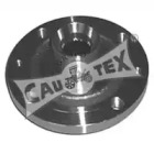 CAUTEX 031004