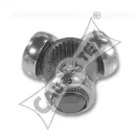 CAUTEX 010958