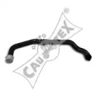 CAUTEX 036351