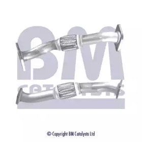 BM CATALYSTS BM50310