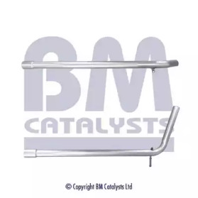 BM CATALYSTS BM50566