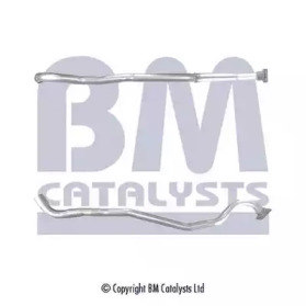 BM CATALYSTS BM50343