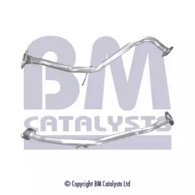 BM CATALYSTS BM50383