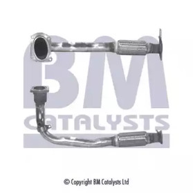 BM CATALYSTS BM70048