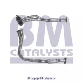 BM CATALYSTS BM70067