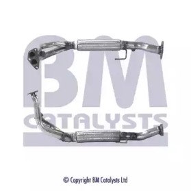 BM CATALYSTS BM70096