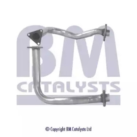 BM CATALYSTS BM70174