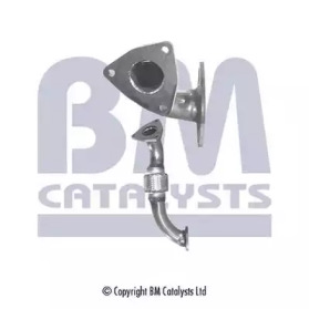 BM CATALYSTS BM70309