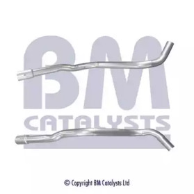 BM CATALYSTS BM50579