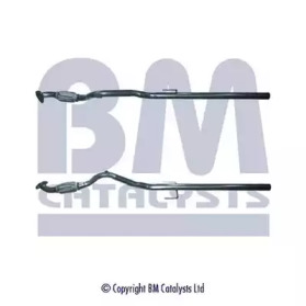 BM CATALYSTS BM50100