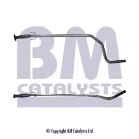 BM CATALYSTS BM50101