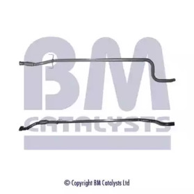 BM CATALYSTS BM50119