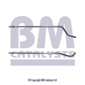 BM CATALYSTS BM50125