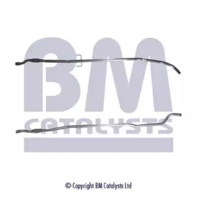 BM CATALYSTS BM50163