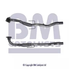 BM CATALYSTS BM50181