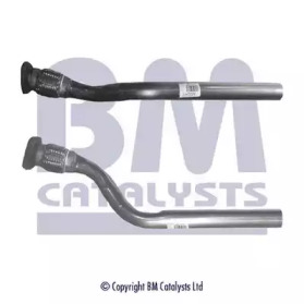 BM CATALYSTS BM50204