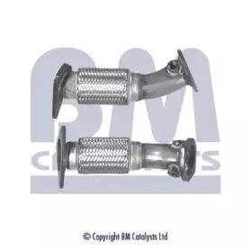 BM CATALYSTS BM50215