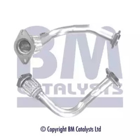 BM CATALYSTS BM70595