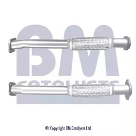 BM CATALYSTS BM50019