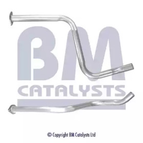 BM CATALYSTS BM50449