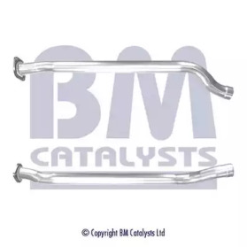 BM CATALYSTS BM50461