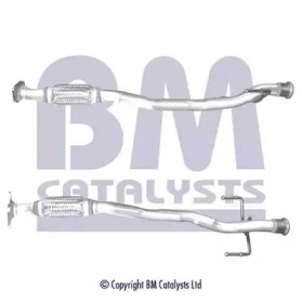 BM CATALYSTS BM50483