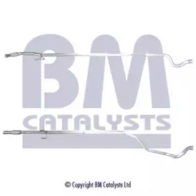 BM CATALYSTS BM50489