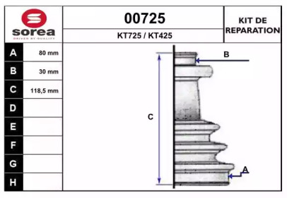 SNRA 00725