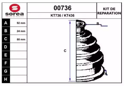 SNRA 00736