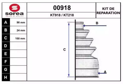 SNRA 00918