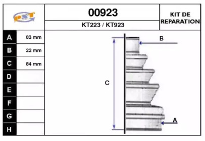 SNRA 00923
