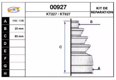 SNRA 00927